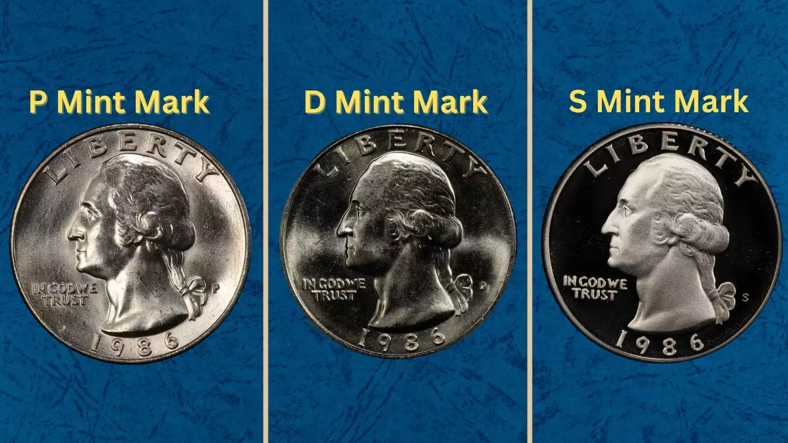 1986 quarter grading strip showing four condition tiers: worn G-4, circulated AU-50, uncirculated MS-63, gem MS-67